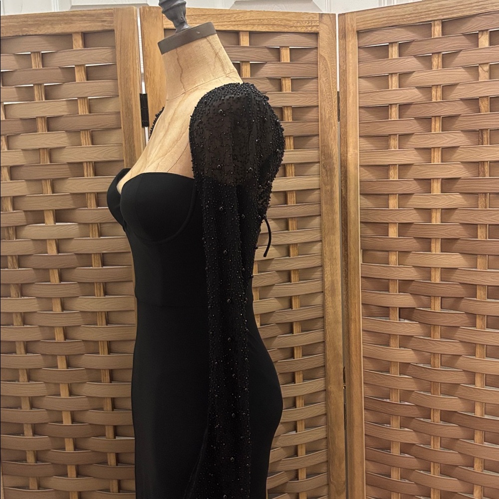 Hello Molly - Picture 4 of 6